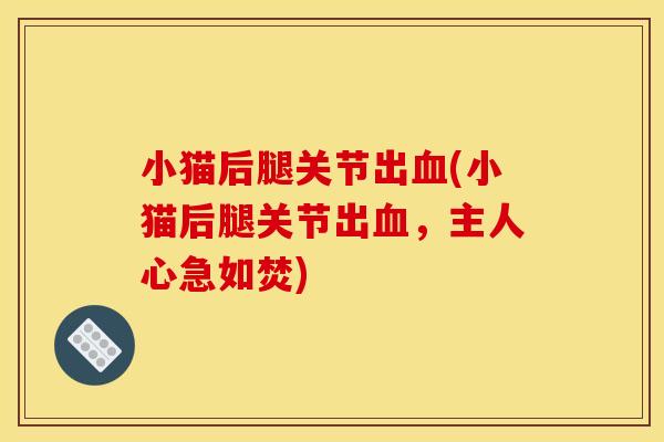 小猫后腿关节出血(小猫后腿关节出血，主人心急如焚)