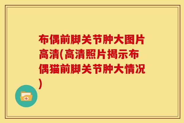 布偶前脚关节肿大图片高清(高清照片揭示布偶猫前脚关节肿大情况)