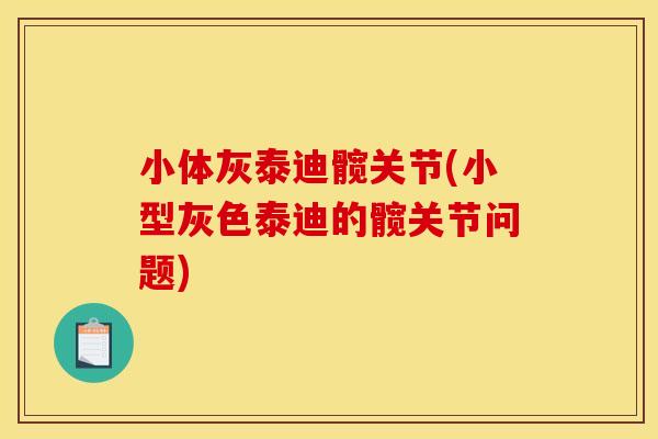 小体灰泰迪髋关节(小型灰色泰迪的髋关节问题)