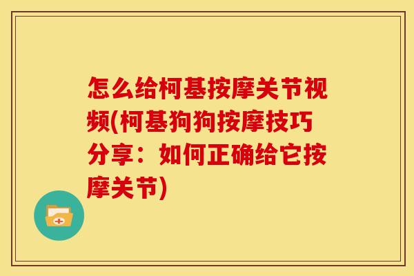 怎么给柯基按摩关节视频(柯基狗狗按摩技巧分享：如何正确给它按摩关节)