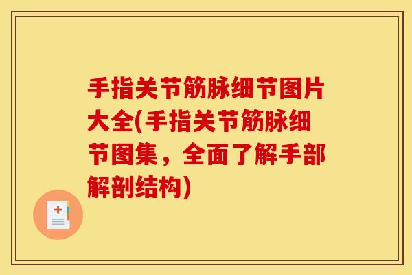 手指关节筋脉细节图片大全(手指关节筋脉细节图集，全面了解手部解剖结构)