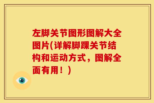 左脚关节图形图解大全图片(详解脚踝关节结构和运动方式，图解全面有用！)