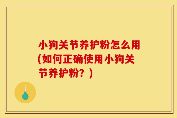 小狗关节养护粉怎么用(如何正确使用小狗关节养护粉？)