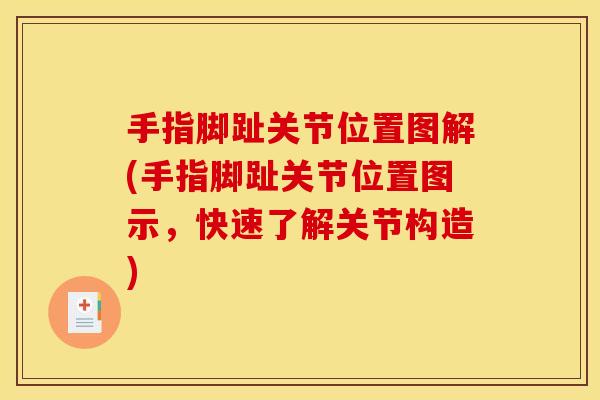 手指脚趾关节位置图解(手指脚趾关节位置图示，快速了解关节构造)
