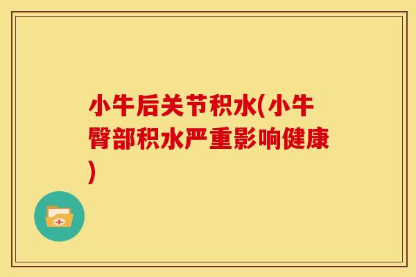小牛后关节积水(小牛臀部积水严重影响健康)