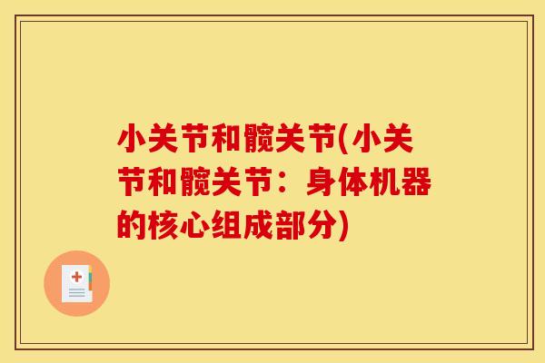 小关节和髋关节(小关节和髋关节：身体机器的核心组成部分)