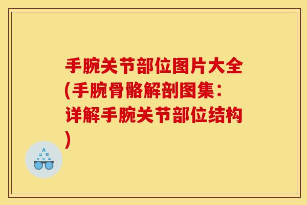 手腕关节部位图片大全(手腕骨骼解剖图集：详解手腕关节部位结构)