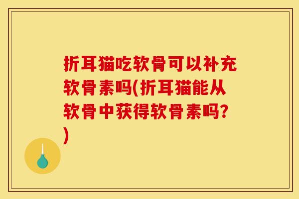 折耳猫吃软骨可以补充软骨素吗(折耳猫能从软骨中获得软骨素吗？)-第1张图片-关节骑士