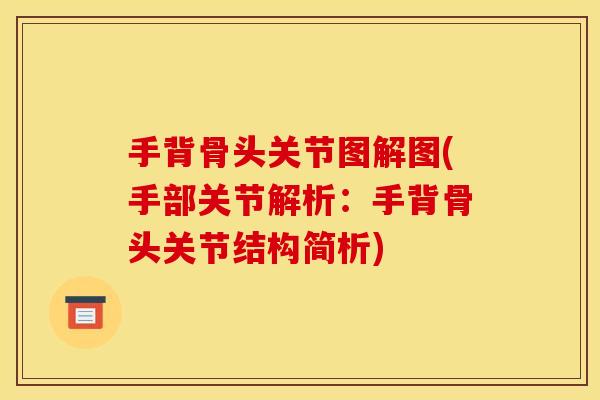 手背骨头关节图解图(手部关节解析：手背骨头关节结构简析)