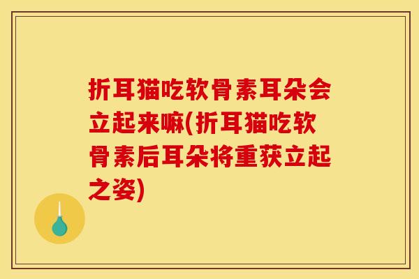 折耳猫吃软骨素耳朵会立起来嘛(折耳猫吃软骨素后耳朵将重获立起之姿)
