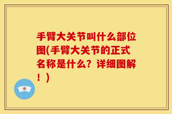 手臂大关节叫什么部位图(手臂大关节的正式名称是什么？详细图解！)