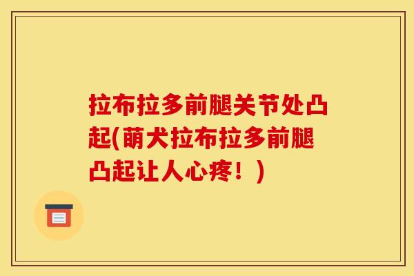 拉布拉多前腿关节处凸起(萌犬拉布拉多前腿凸起让人心疼！)