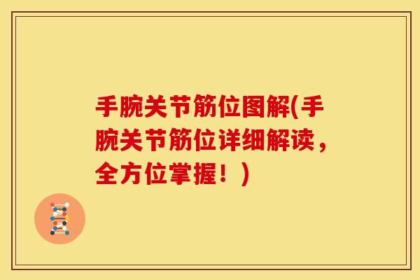 手腕关节筋位图解(手腕关节筋位详细解读，全方位掌握！)