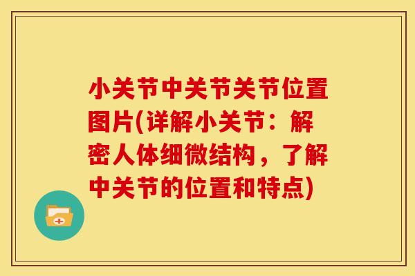 小关节中关节关节位置图片(详解小关节：解密人体细微结构，了解中关节的位置和特点)
