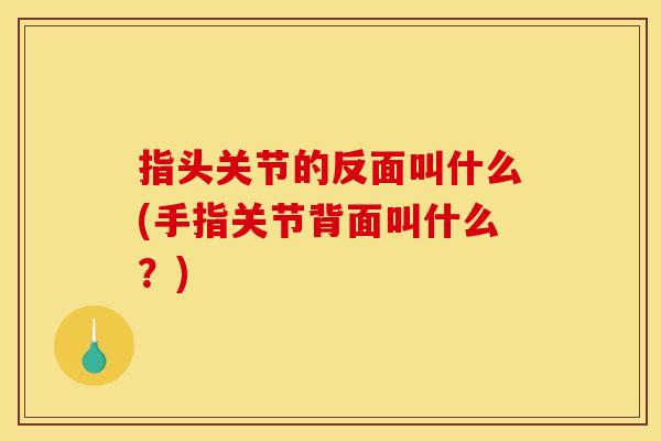 指头关节的反面叫什么(手指关节背面叫什么？)