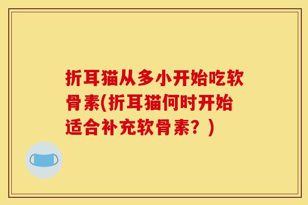 折耳猫从多小开始吃软骨素(折耳猫何时开始适合补充软骨素？)