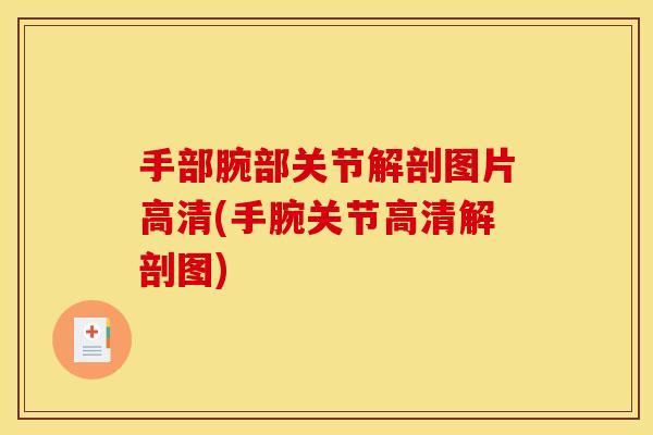 手部腕部关节解剖图片高清(手腕关节高清解剖图)