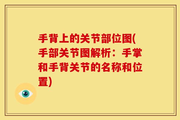 手背上的关节部位图(手部关节图解析：手掌和手背关节的名称和位置)