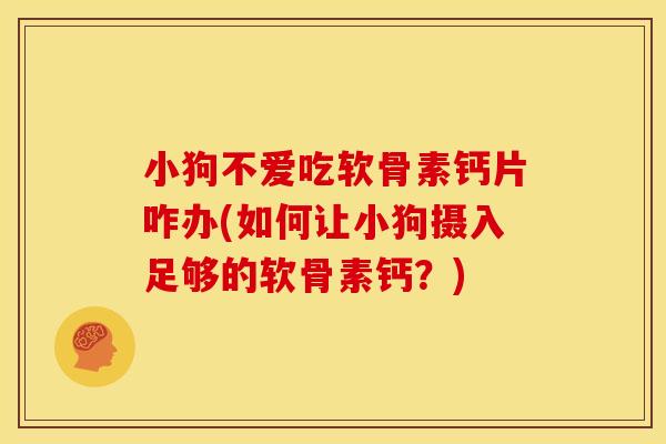 小狗不爱吃软骨素钙片咋办(如何让小狗摄入足够的软骨素钙？)