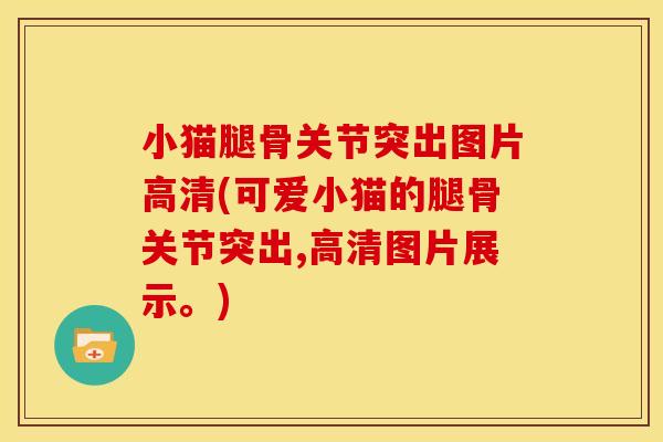 小猫腿骨关节突出图片高清(可爱小猫的腿骨关节突出,高清图片展示。)