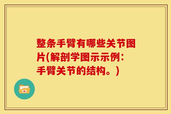 整条手臂有哪些关节图片(解剖学图示示例：手臂关节的结构。)