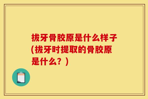 拔牙骨胶原是什么样子(拔牙时提取的骨胶原是什么？)