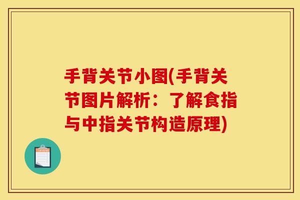 手背关节小图(手背关节图片解析：了解食指与中指关节构造原理)