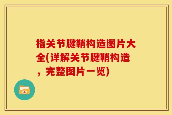 指关节腱鞘构造图片大全(详解关节腱鞘构造，完整图片一览)