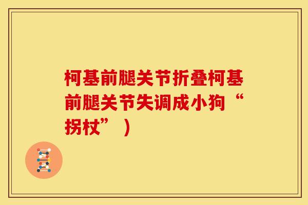 柯基前腿关节折叠柯基前腿关节失调成小狗“拐杖” )