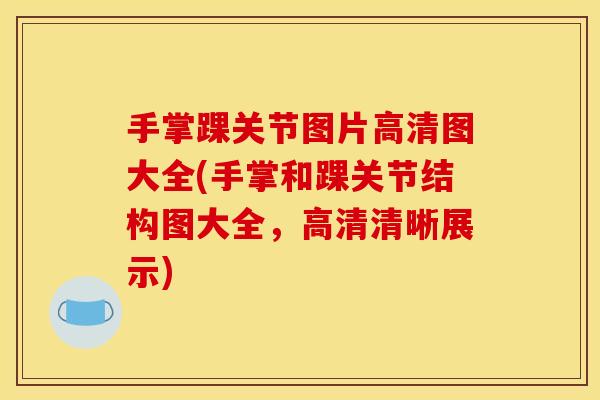 手掌踝关节图片高清图大全(手掌和踝关节结构图大全，高清清晰展示)
