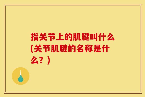指关节上的肌腱叫什么(关节肌腱的名称是什么？)
