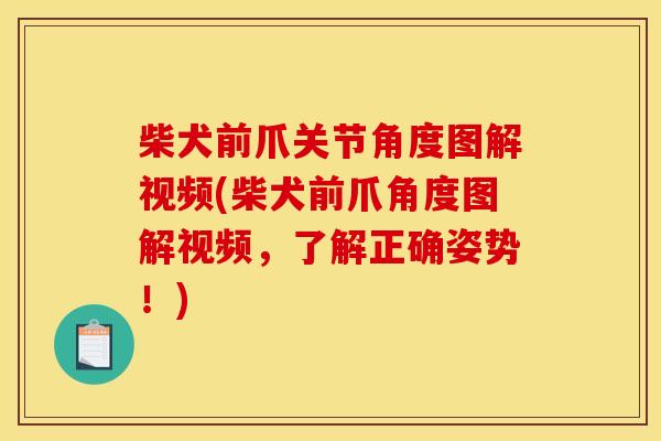柴犬前爪关节角度图解视频(柴犬前爪角度图解视频，了解正确姿势！)