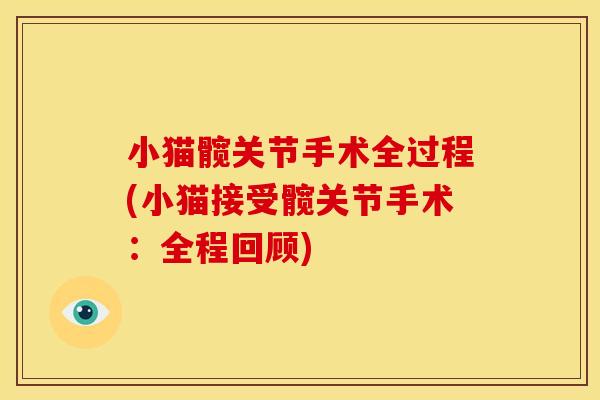 小猫髋关节手术全过程(小猫接受髋关节手术：全程回顾)-第1张图片-关节骑士