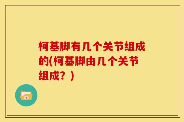 柯基脚有几个关节组成的(柯基脚由几个关节组成？)
