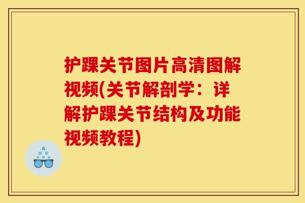 护踝关节图片高清图解视频(关节解剖学：详解护踝关节结构及功能视频教程)