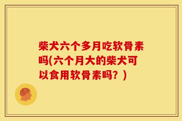 柴犬六个多月吃软骨素吗(六个月大的柴犬可以食用软骨素吗？)