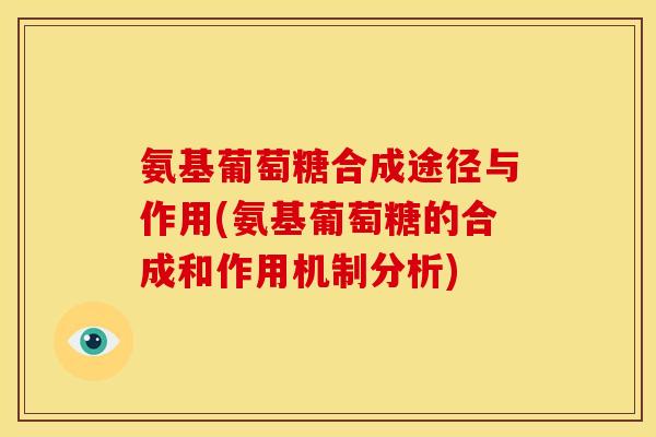 氨基葡萄糖合成途径与作用(氨基葡萄糖的合成和作用机制分析)