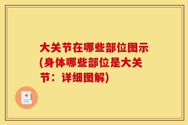 大关节在哪些部位图示(身体哪些部位是大关节:详细图解)-第1张图片-关节骑士 大关节在哪些部位图示(身体哪些部位是大关节:详细图解)-第1张图片-关节骑士