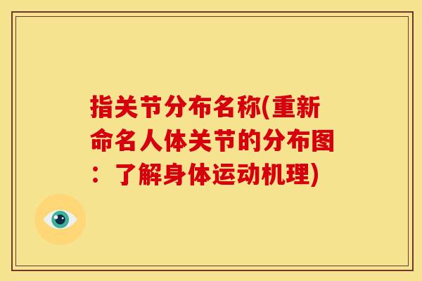 指关节分布名称(重新命名人体关节的分布图：了解身体运动机理)