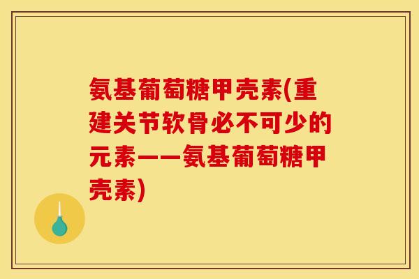 氨基葡萄糖甲壳素(重建关节软骨必不可少的元素——氨基葡萄糖甲壳素)