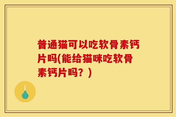 普通猫可以吃软骨素钙片吗(能给猫咪吃软骨素钙片吗？)