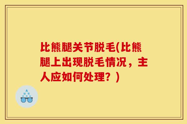 比熊腿关节脱毛(比熊腿上出现脱毛情况，主人应如何处理？)