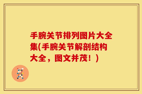 手腕关节排列图片大全集(手腕关节解剖结构大全，图文并茂！)
