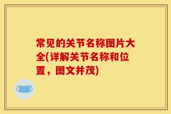 常见的关节名称图片大全(详解关节名称和位置，图文并茂)