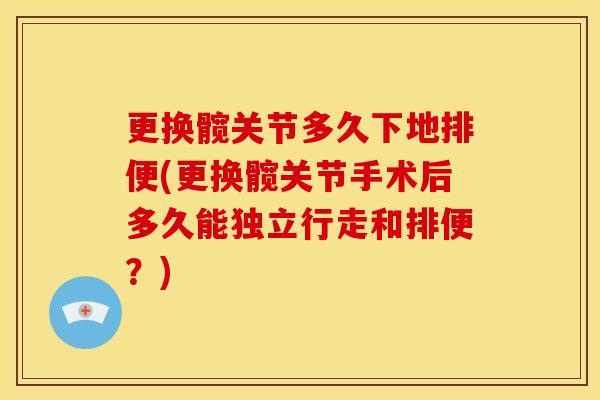 更换髋关节多久下地排便(更换髋关节手术后多久能独立行走和排便？)