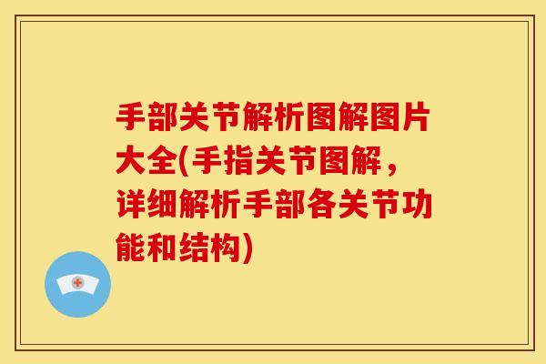 手部关节解析图解图片大全(手指关节图解，详细解析手部各关节功能和结构)