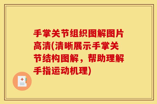 手掌关节组织图解图片高清(清晰展示手掌关节结构图解，帮助理解手指运动机理)