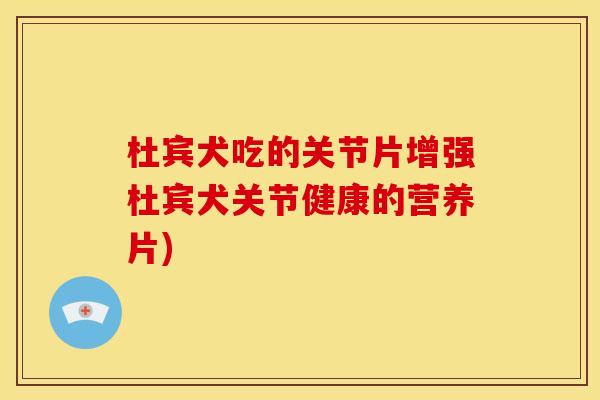 杜宾犬吃的关节片增强杜宾犬关节健康的营养片)