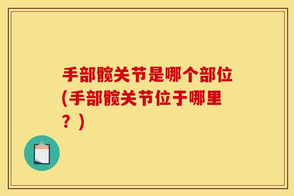 手部髋关节是哪个部位(手部髋关节位于哪里？)