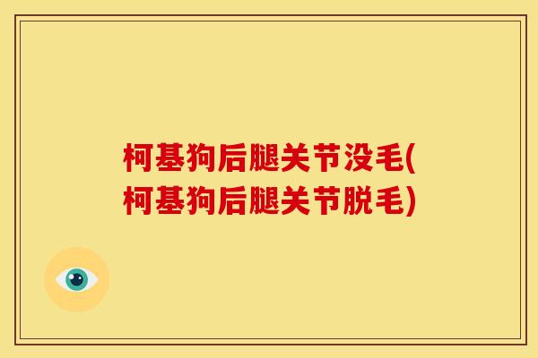 柯基狗后腿关节没毛(柯基狗后腿关节脱毛)